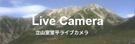 LIVE CAMERA